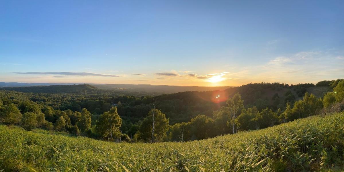 Вілла The Tool Shed Nestled In Idyllic Countryside Linchmere Екстер'єр фото
