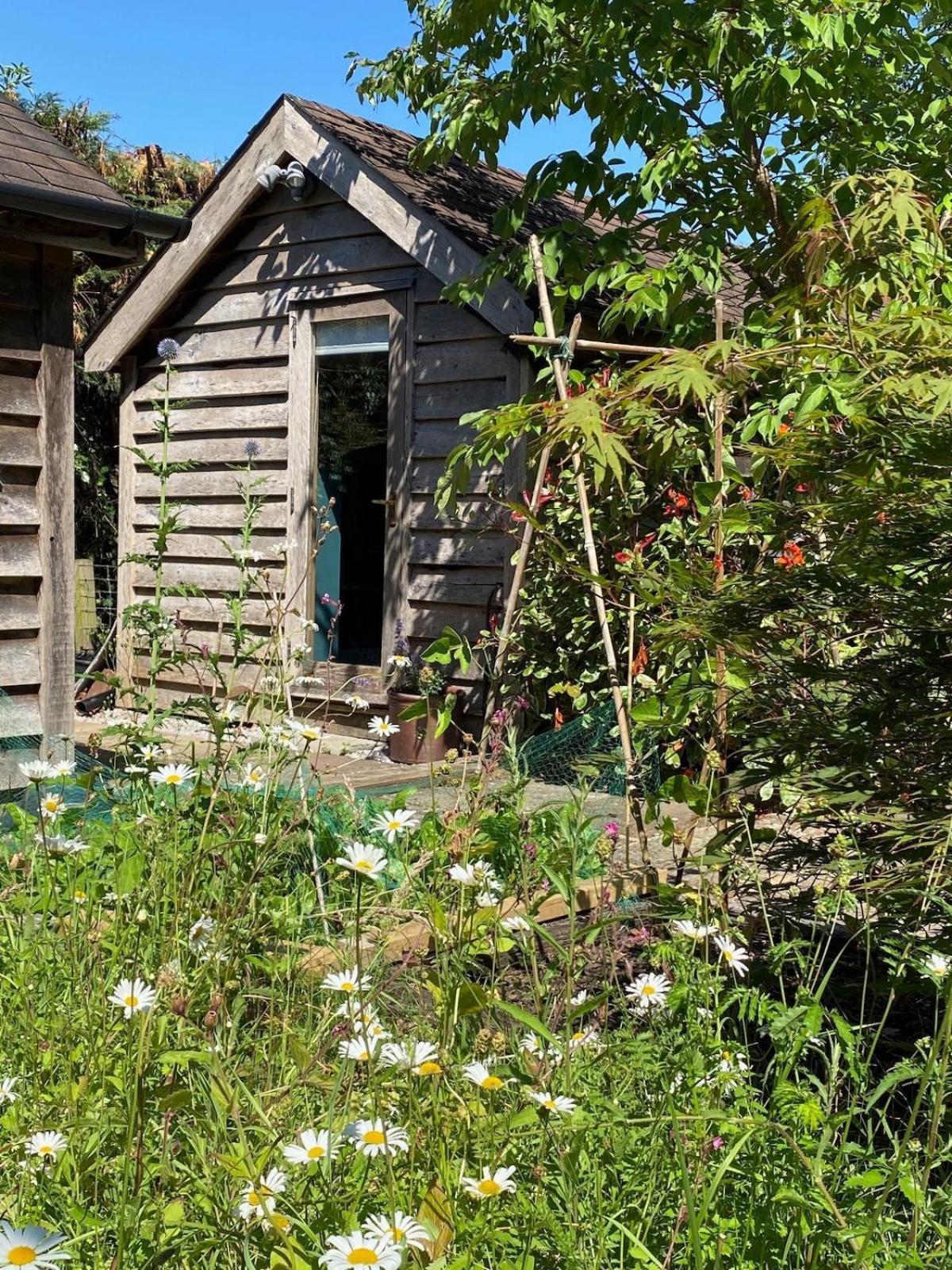 Вілла The Tool Shed Nestled In Idyllic Countryside Linchmere Екстер'єр фото