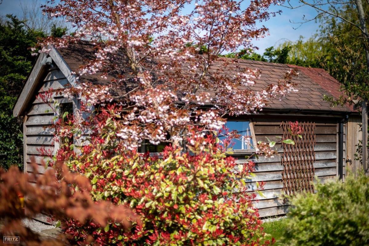 Вілла The Tool Shed Nestled In Idyllic Countryside Linchmere Екстер'єр фото